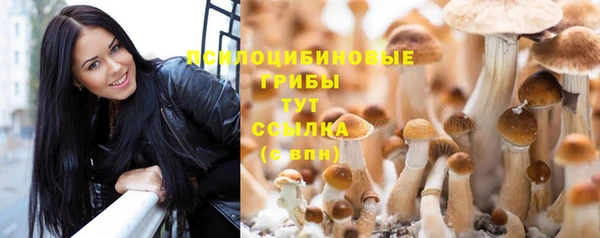альфа пвп Краснотурьинск
