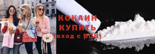 молекула духа Кулебаки