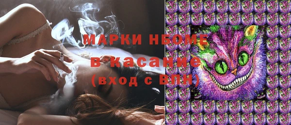 стаф Кукмор