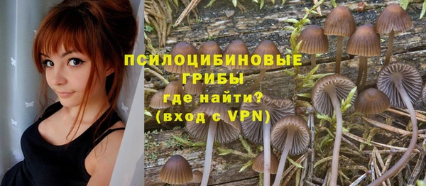 тгк Красноперекопск