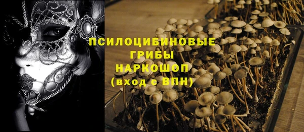 мяу мяу мука Куйбышев