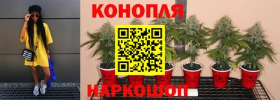 хмурый Заводоуковск