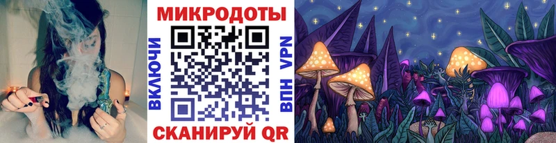 Псилоцибиновые грибы Psilocybine cubensis  Михайловка 