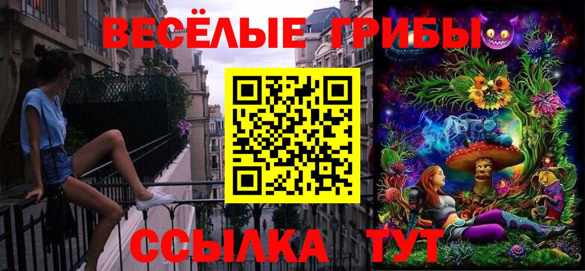 Псилоцибиновые грибы мухоморы  Вход с VPN  Михайловка 