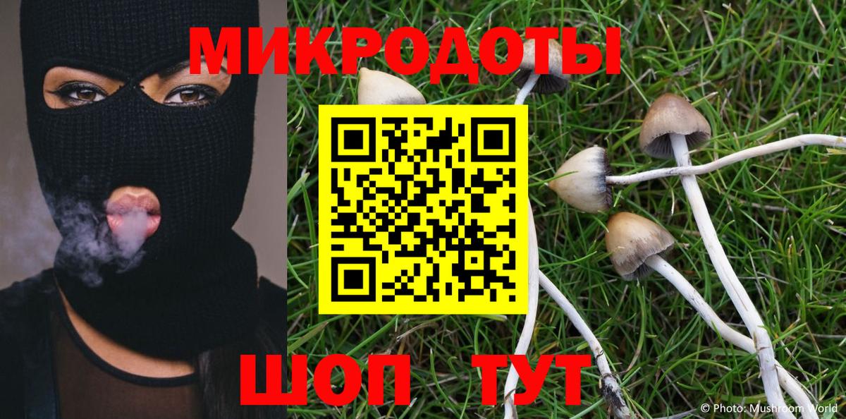 Галлюциногенные грибы ЛСД Михайловка